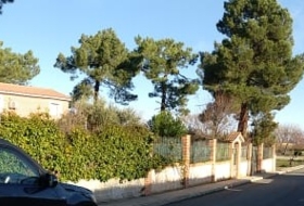 Foto 7