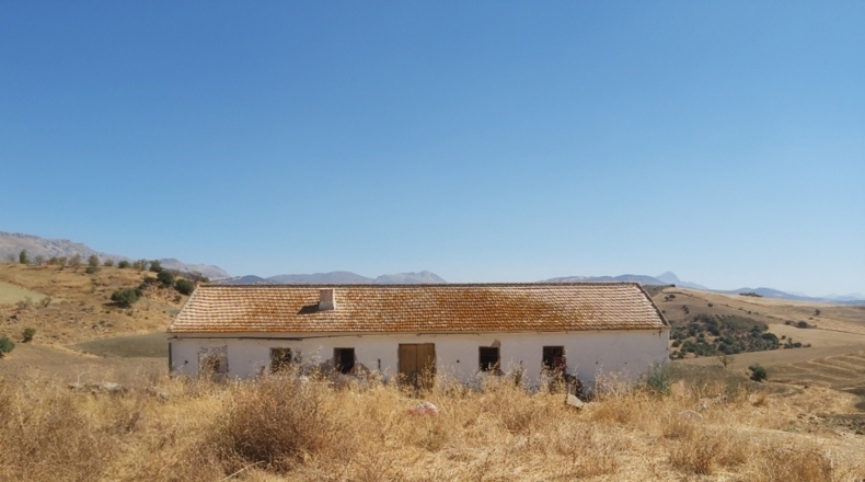 Málaga - Almogía - 10000m2