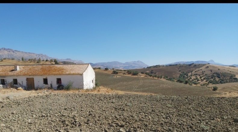Málaga - Almogía - 10000m2