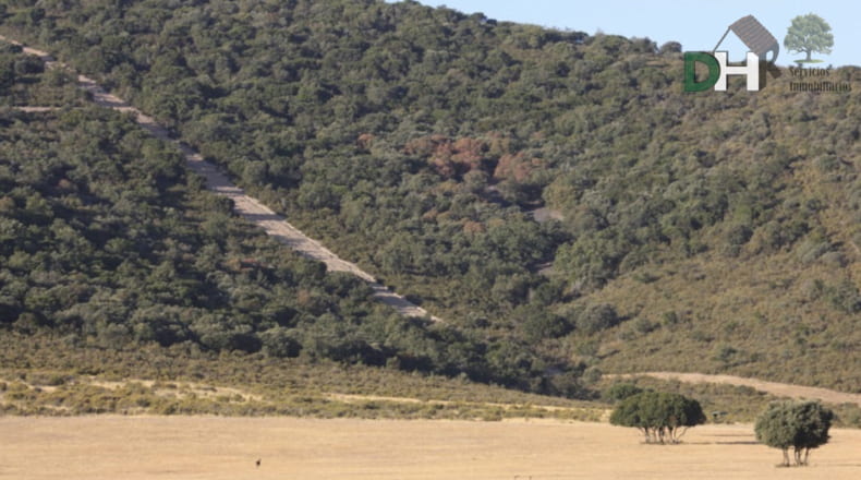Ciudad Real - Ciudad Real - 11000000m2