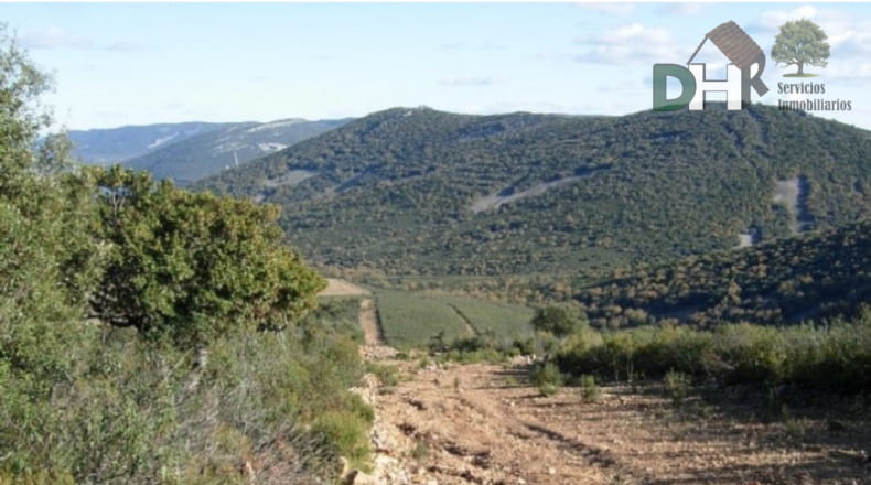 Ciudad Real - Ciudad Real - 11000000m2