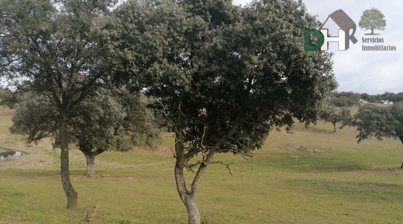 Cáceres - Cáceres - 8000000m2