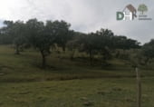 Terreno no urbanizable en venta en la Ronda Supernorte, Cáceres, ref: TR67260 foto