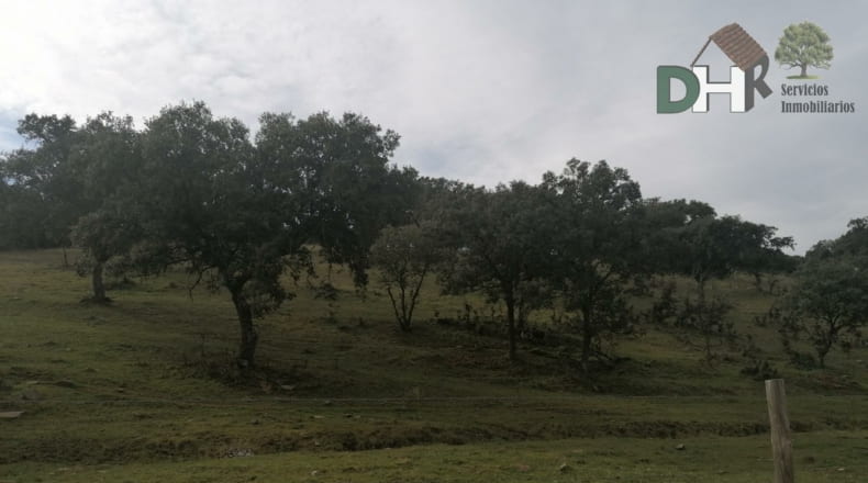 Cáceres - Cáceres - 8000000m2