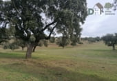 Terreno no urbanizable en venta en la Ronda Supernorte, Cáceres, ref: TR67260 foto