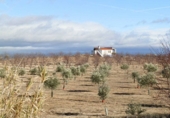 Finca rústica en venda a la villaminaya, Orgaz, ref.: TR67244 foto