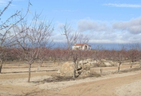 Orgaz 120000&nbsp;m²