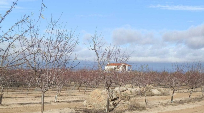 Toledo - Orgaz - 120000m2