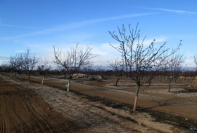 Orgaz 120000&nbsp;m²