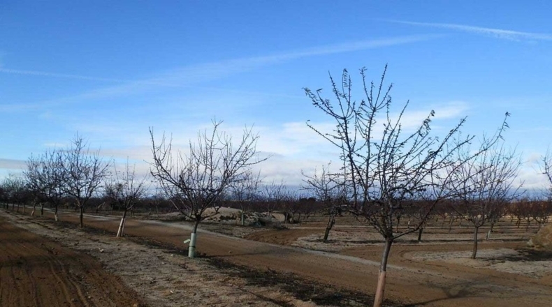 Toledo - Orgaz - 120000m2