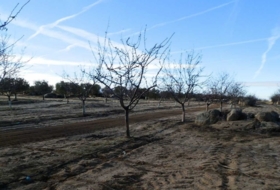Orgaz 120000&nbsp;m²