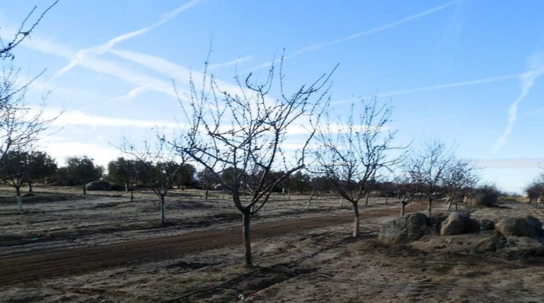 Toledo - Orgaz - 120000m2