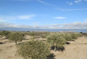 Orgaz 120000&nbsp;m²