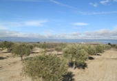 Finca rústica en venda a la villaminaya, Orgaz, ref.: TR67244 foto