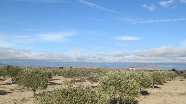 Toledo - Orgaz - 120000m2