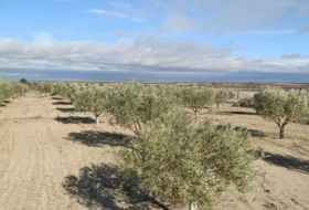 Orgaz 120000&nbsp;m²