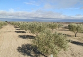 Finca rústica en venda a la villaminaya, Orgaz, ref.: TR67244 foto