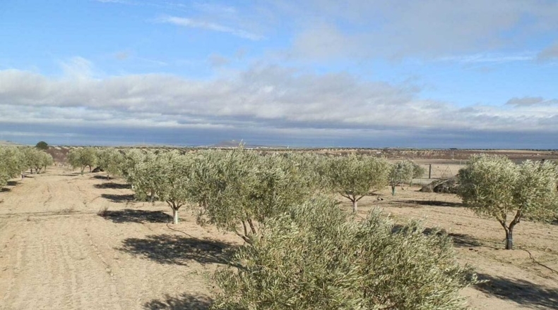 Toledo - Orgaz - 120000m2