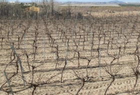 Orgaz 120000&nbsp;m²
