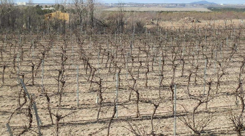 Toledo - Orgaz - 120000m2