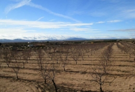 Orgaz 120000&nbsp;m²