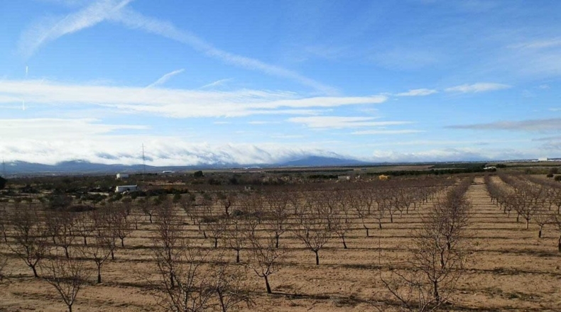 Toledo - Orgaz - 120000m2