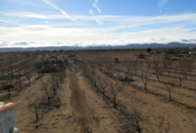 Orgaz 120000&nbsp;m²
