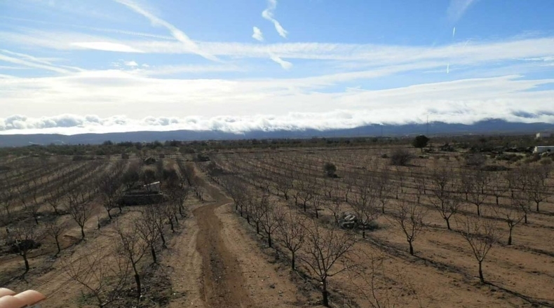 Toledo - Orgaz - 120000m2