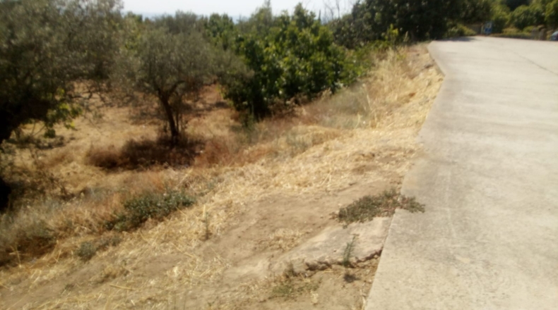 Cáceres - Pasarón de la Vera - 711m2