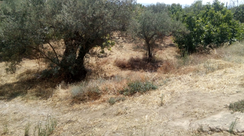 Cáceres - Pasarón de la Vera - 711m2