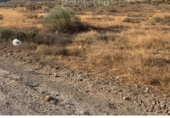 Земля на продажу у города Níjar Фото