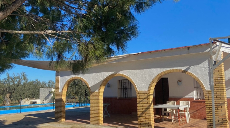 Sevilla - Utrera - 26000m2
