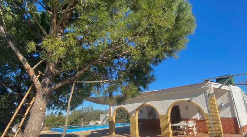 Sevilla - Utrera - 26000m2