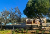Casa de camp amb terreny en venda a la Urbanización El Saltillo nº6, Utrera, ref.: TR67247 foto