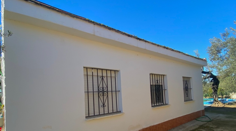 Sevilla - Utrera - 26000m2