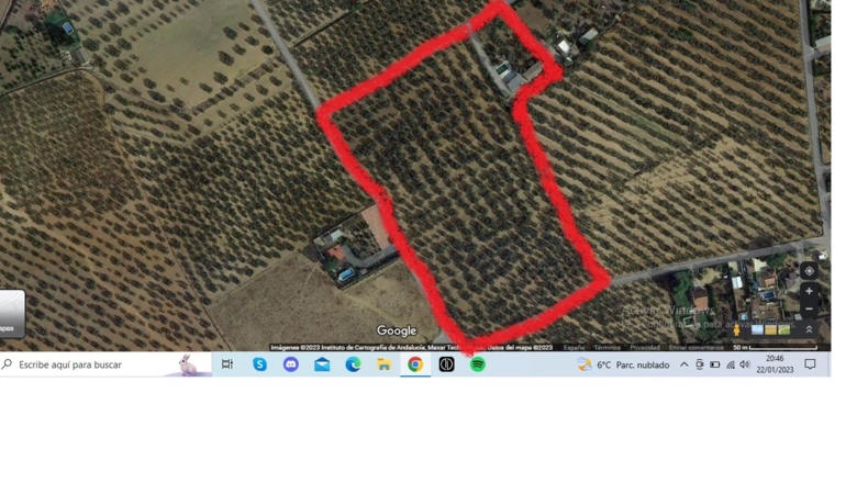 Sevilla - Utrera - 26000m2