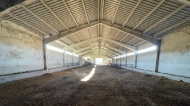 Cuenca - Priego - 16700m2