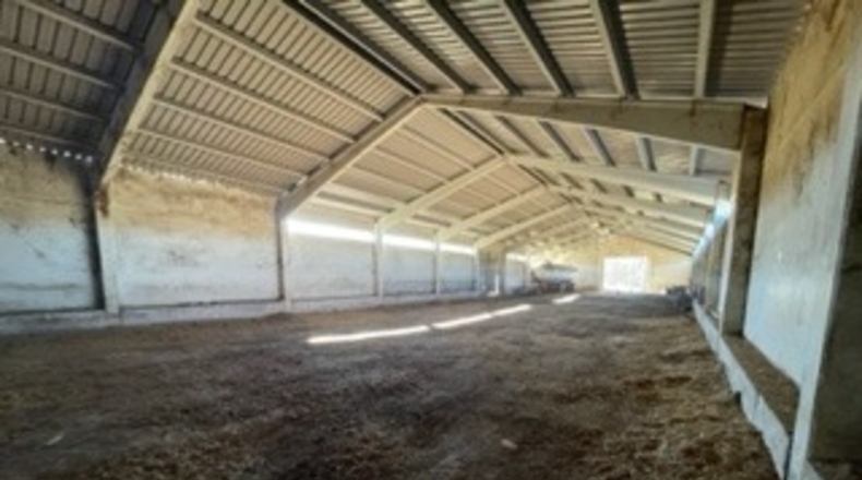 Cuenca - Priego - 16700m2