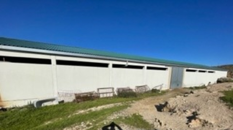 Cuenca - Priego - 16700m2