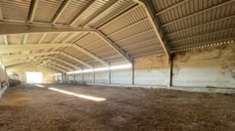 Cuenca - Priego - 16700m2