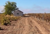 Finca rústica en venta en la CM-3166, Campo de Criptana, ref: TR67528 foto
