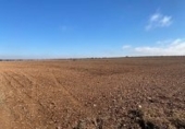 Finca rústica en venta en la CM-3166, Campo de Criptana, ref: TR67528 foto