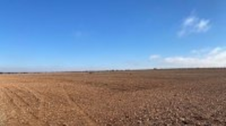 Ciudad Real - Campo de Criptana - 347000m2