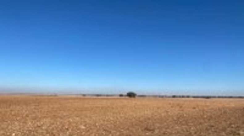 Ciudad Real - Campo de Criptana - 347000m2