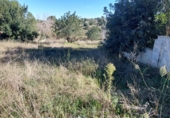 Suelo urbano en venta en la Carrer Riu Cervol, Montserrat, ref: TR67901 foto