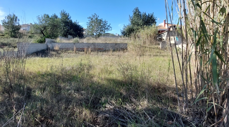 Valencia - Monserrat - 1021m2