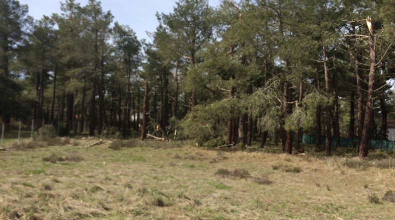 Segovia - Urbanización Pinar de Parraces - 2600m2
