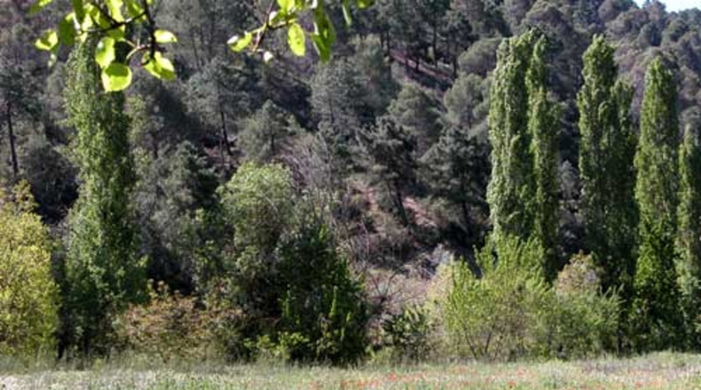 Jaén - Cañada Catena - 3830m2