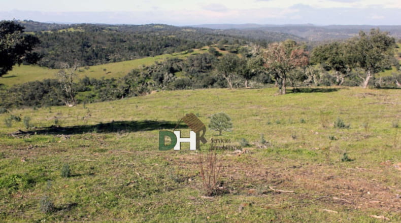 Cáceres - Aliseda - 4000000m2