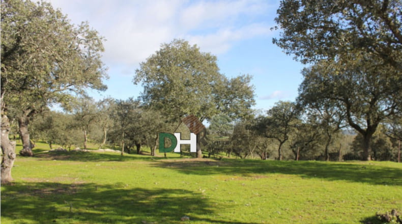 Cáceres - Aliseda - 4000000m2